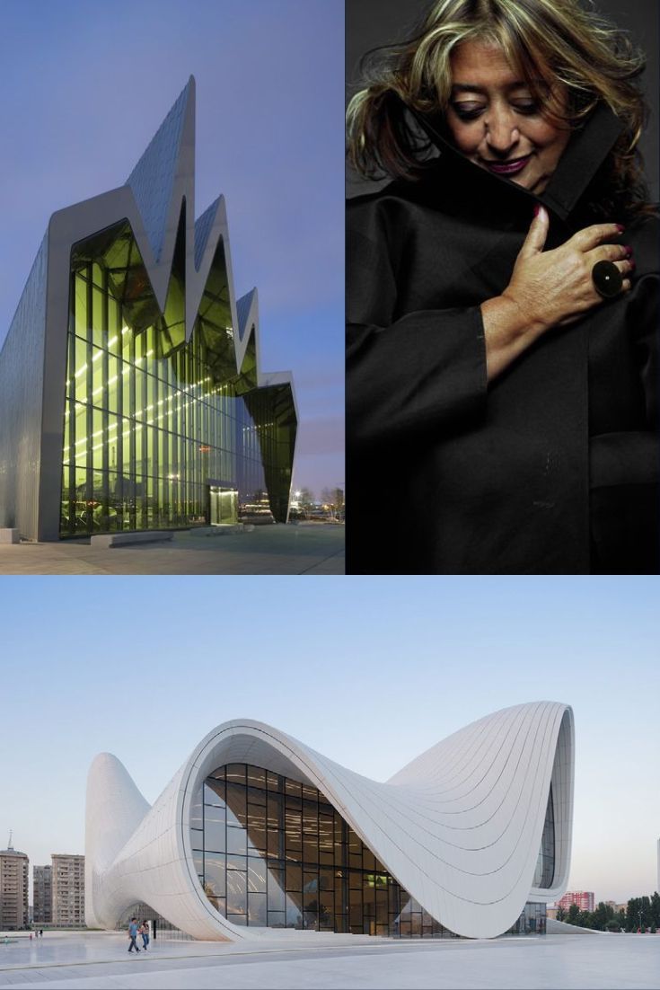 Chairman 🦁 tweet media