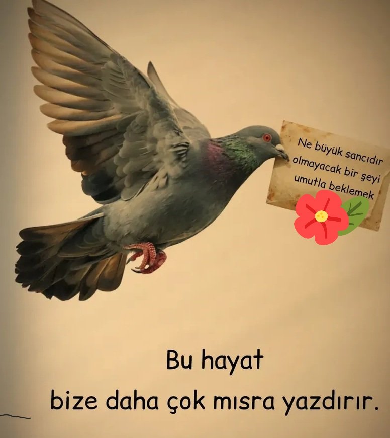 #HuzurluAkşamlar