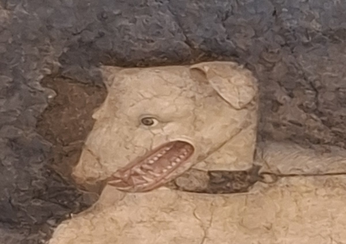 Don Juan de Simón tweet media