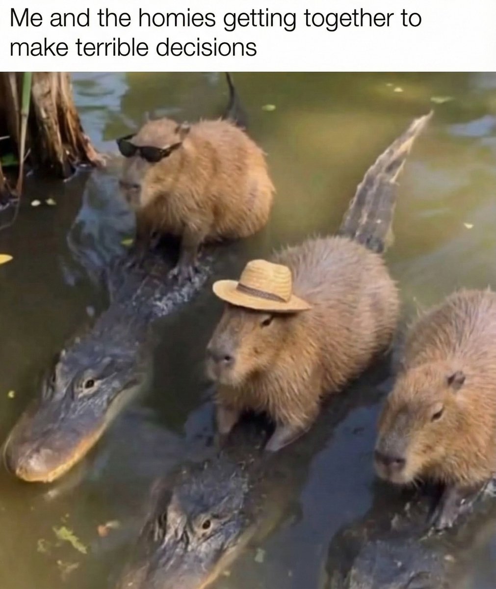 😎
