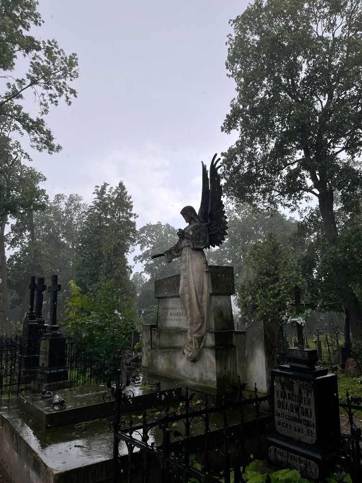 elemmiressoul's tweet image. 𝔞𝔫𝔤𝔢𝔩𝔰.