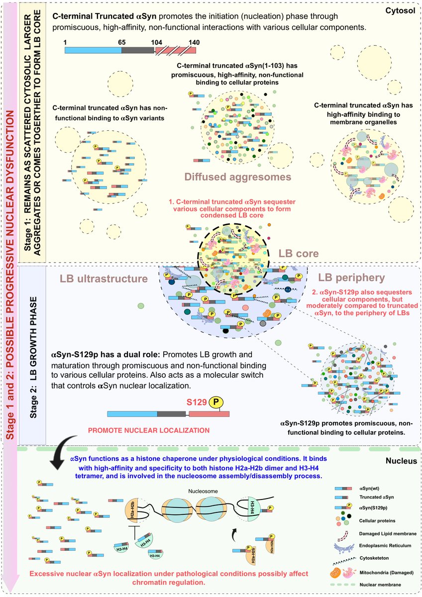 Sivaraman Padavattan tweet media