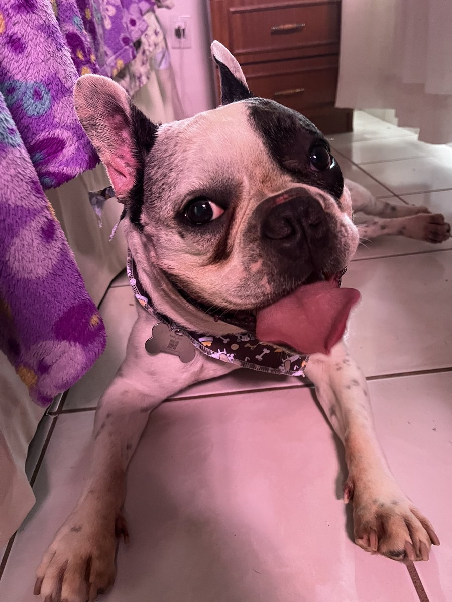 debibal's tweet image. 8 anos do melhor presente que eu já ganhei. Feliz aniversário, Baymax 🥹💜