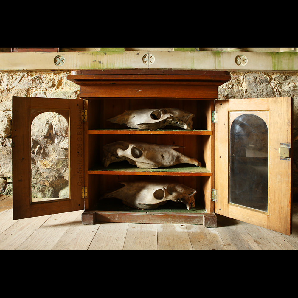 cbnewham's tweet image. The Skulls in the Turret

In 1877, restoration workers at Elsdon (Northumberland) broke into the bell turret's spire. They found three horse skulls arranged in a triangle, carefully built into the stonework centuries before.

Why? Nobody knows.