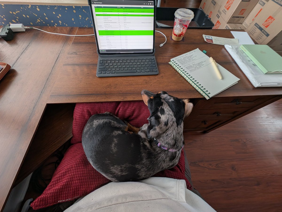 Page Turner Literary Agency tweet media