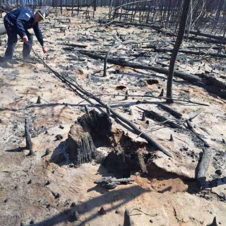 CHUBUT: UNA FOTO CONFIRMA QUE EL FUEGO FUE INTENCIONAL

La Justicia difundió una imagen del punto cero donde se inició uno de los focos en El Hoyo y confirmó el uso de acelerantes. Un vecino declaró haber visto a tres personas prender fuego de noche, en una zona boscosa sin