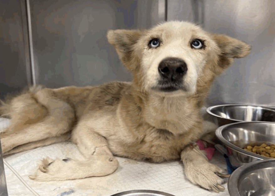 Aurora ⸆⸉ misses Liam ❯❯❯❯ tweet media