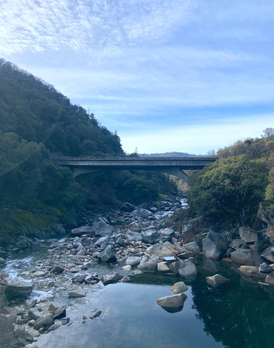 jacque boatman tweet media