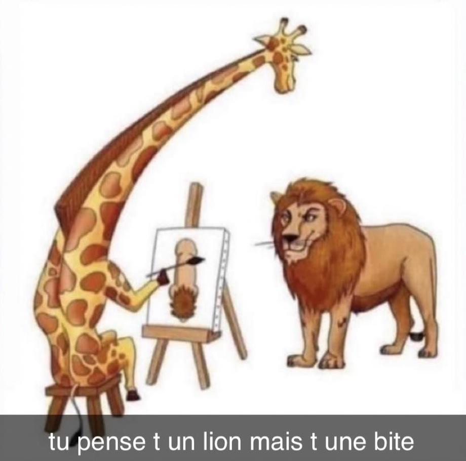 Fenerbahçe SK France 🇫🇷 (@fenerbahce__fr) on Twitter photo 