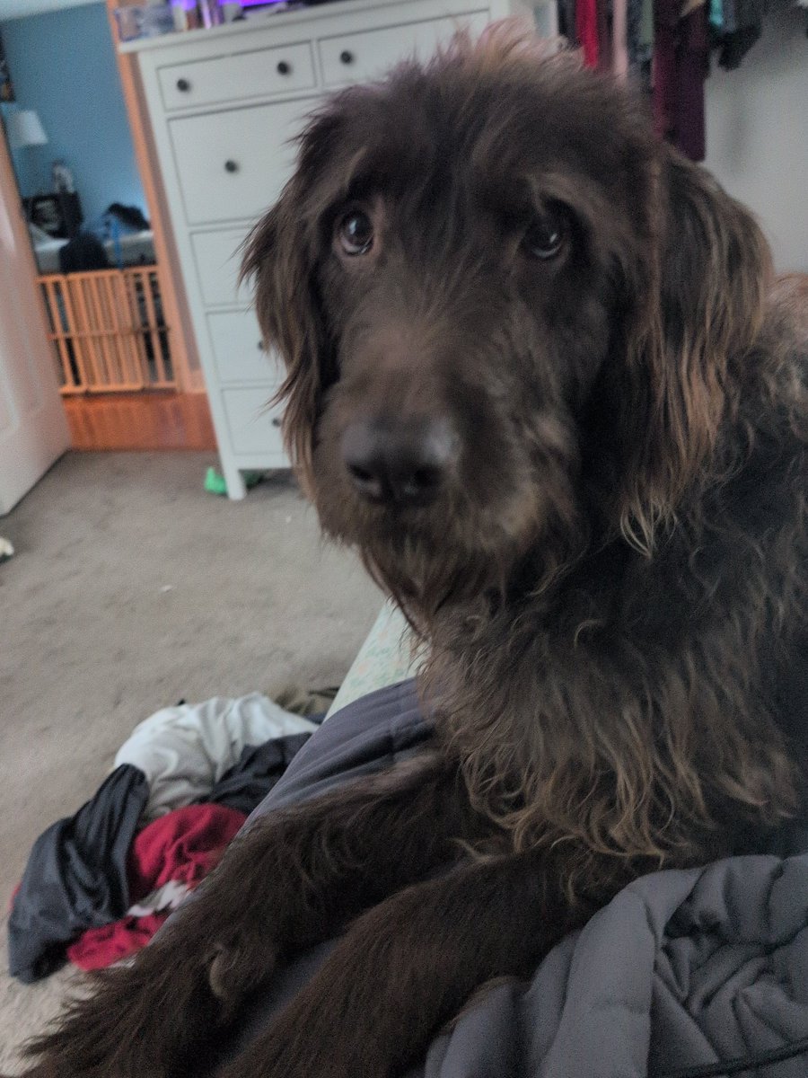 Ben’s Comics tweet media