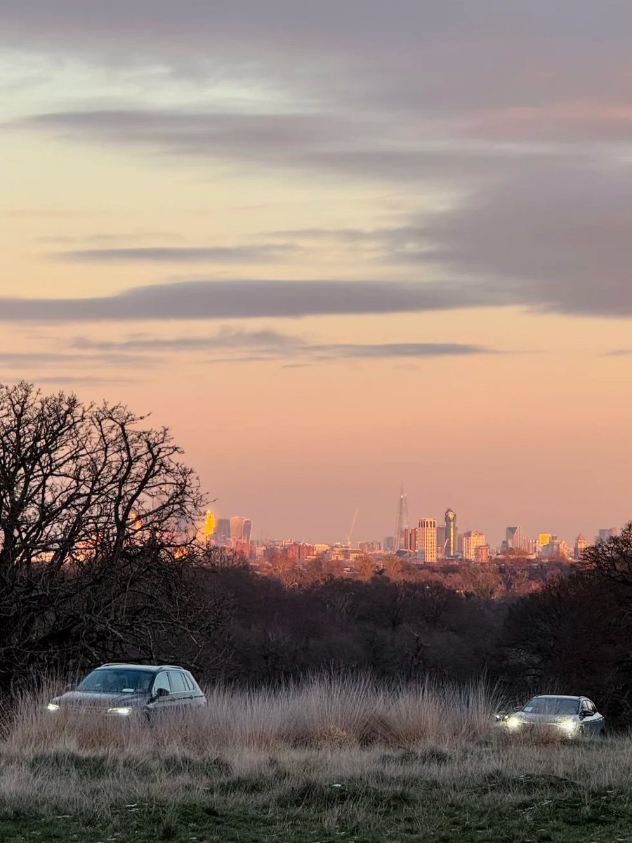 bbydell53's tweet image. A magical winter sunset. Golden light and a touch of snow between the trees in a London park. A peaceful moment. 🌇❄️ #LondonSunset #Nature