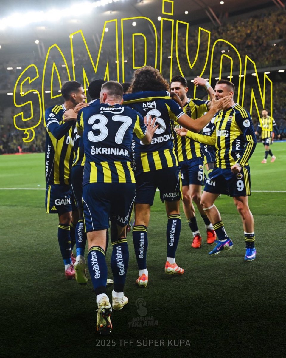 FETÖCÜ,BAHİSÇİ,KARA PARA AKLAYAN, TERÖRİSTLERİN GÖTÜNE GİRSİN BU KUPA…..#FBvGS