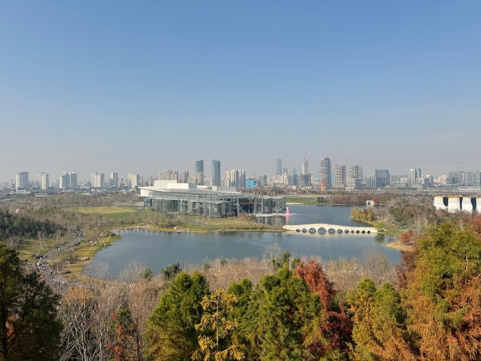 Juampinar's tweet photo. 来观鸟啦～进公园就看到一群普通鸬鹚飞过。
逛了一个多小时，去公园里的W coffee坐坐，看着不远处小水坑里树鹨洗澡，喝着咖啡，感觉自己能量满满。上海是真小啊！居然遇到了娃的姨妈、姨父一家三口，坐在一起热聊了一会儿，开心开心～ https://t.co/p58MeuueaQ
