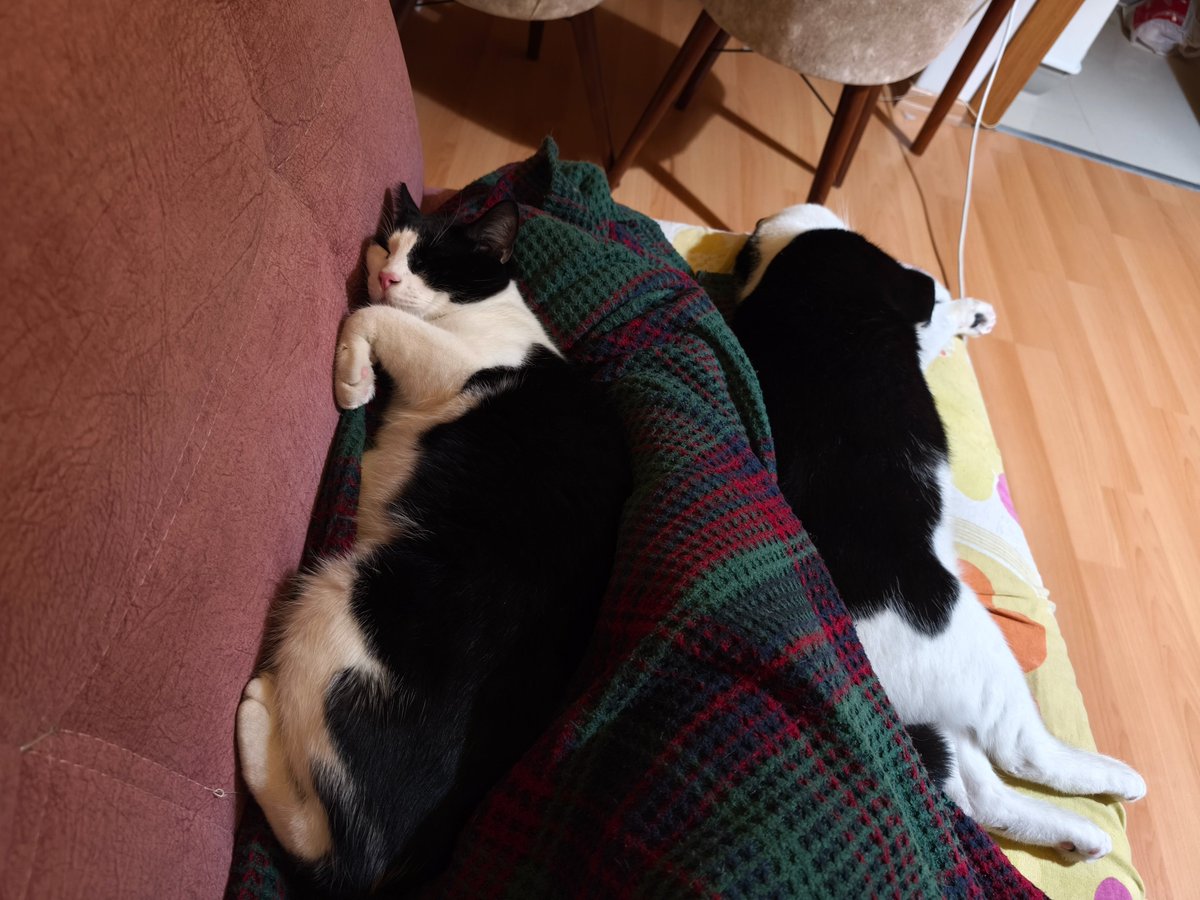 akaWikii's tweet image. Benzer işler