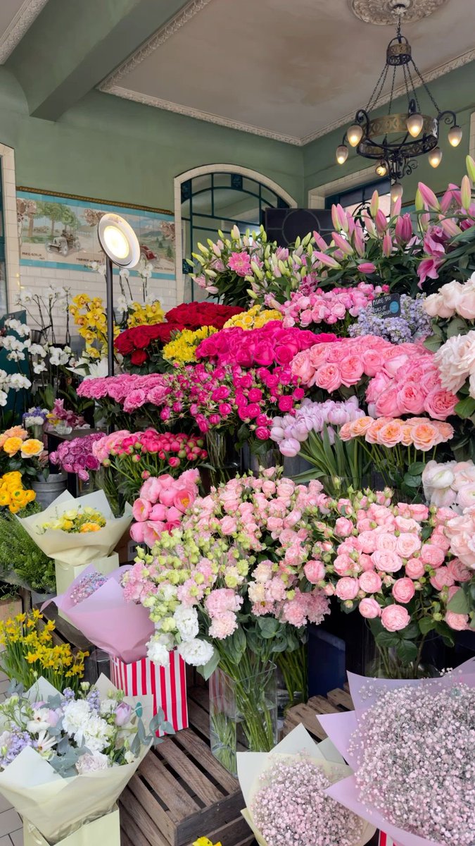 1leio's tweet image. 