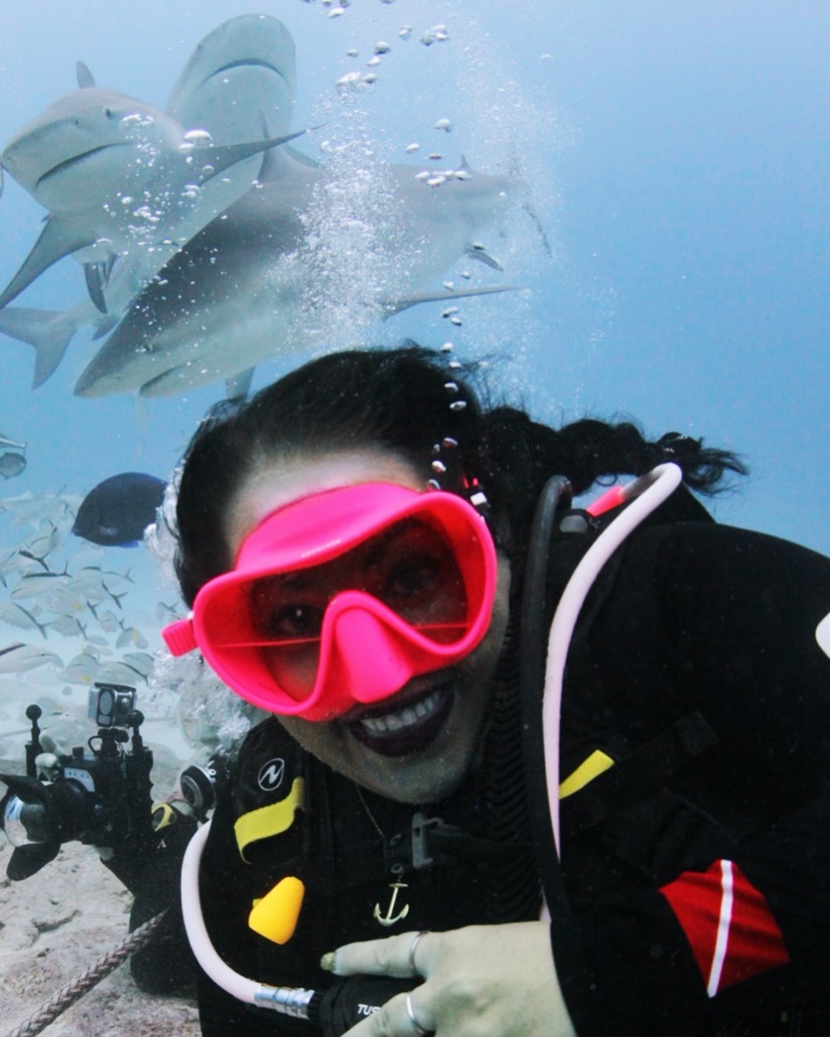 Scuba Diving Lover tweet media