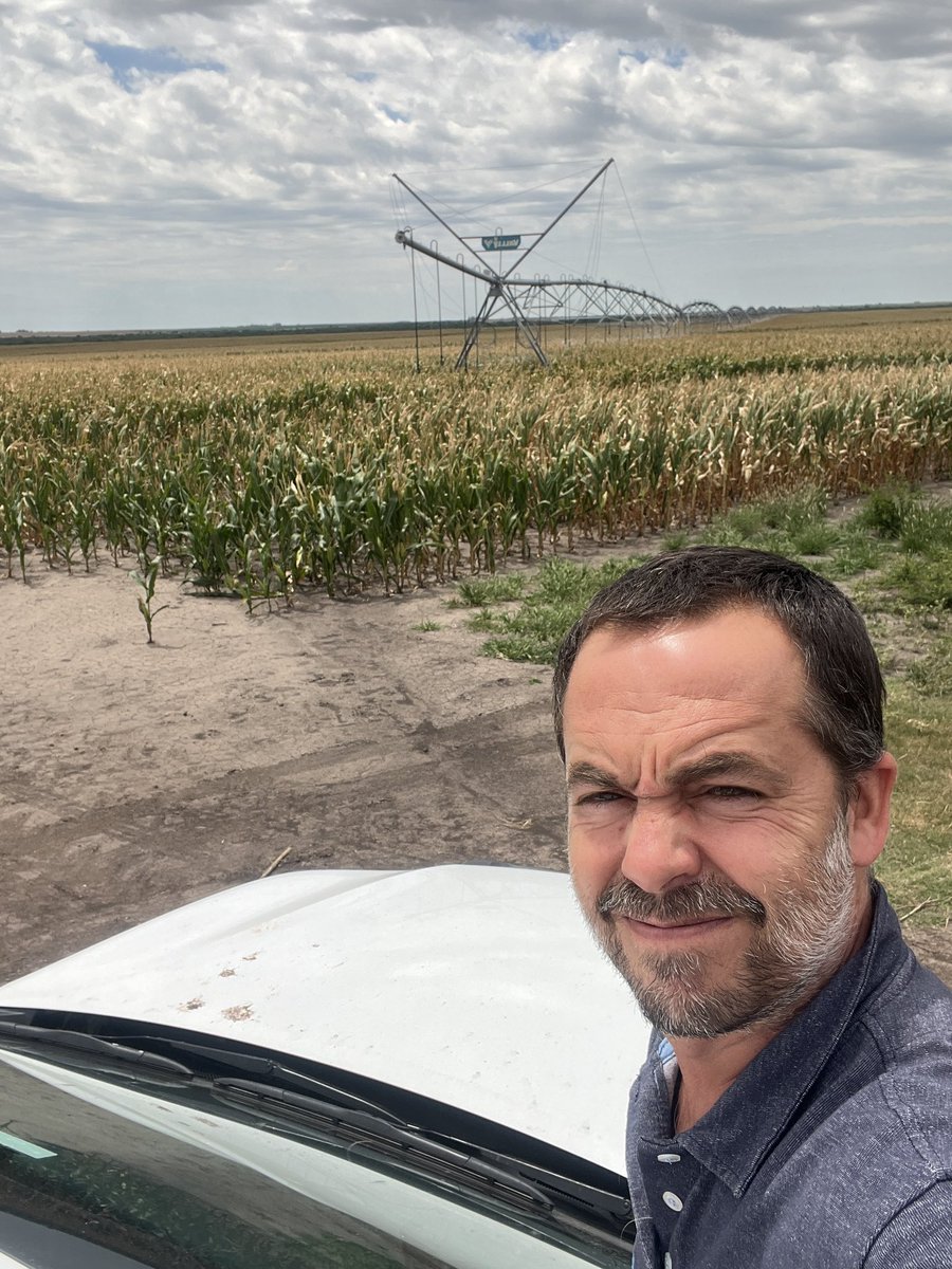 Recorrida de la semana por campo de clientes en Entre Ríos. Historia repetida en esta zona. Maíces de primera en secano sufriendo la seca con mucha merma de rendimiento. Calculamos unas 5-6 tn de diferencia entre riego y secano en este lote.