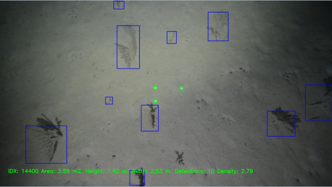 RoViT Lab tweet media