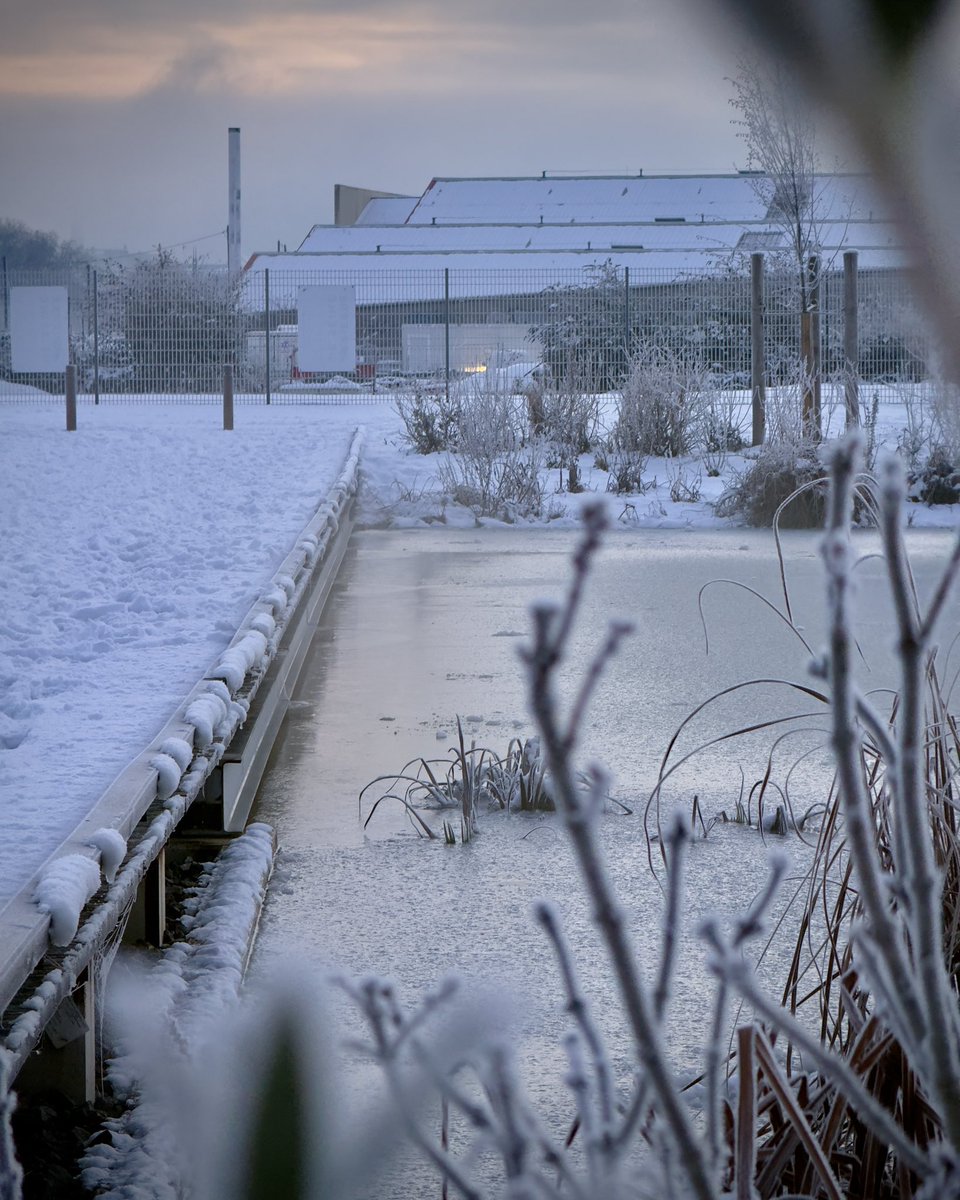 Le Canal Camille-Claudel, enneigé et gelé. ❄️ 

#neige #rouen #metropolerouennormandie #rouentourisme #explore_normandie