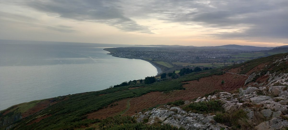 Mayne Walone tweet media