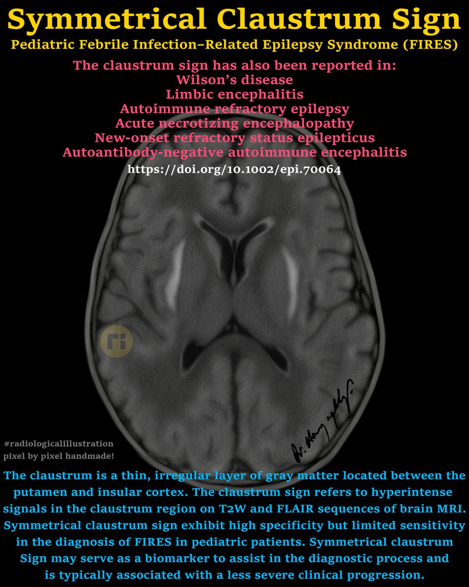 Dr Harun Yıldız tweet media