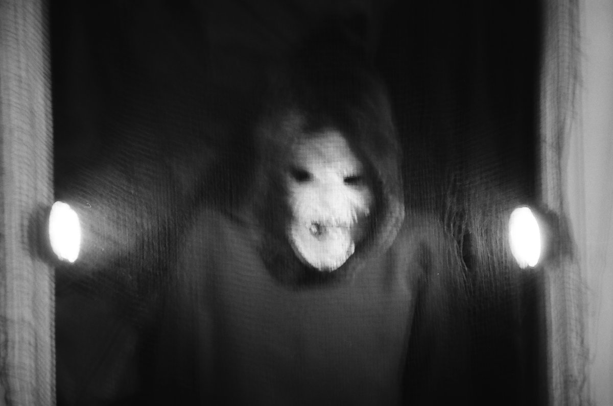 Epic weekend sale for rat king heads - buy any lp, get a free 7" ?? Sounds epic 2 me...

store.ratkingrecords.com

(pic from my 2025 haunted experience)