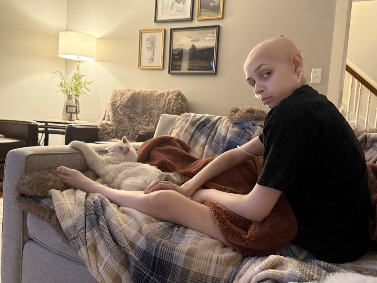 Rebecca Perrotto tweet media