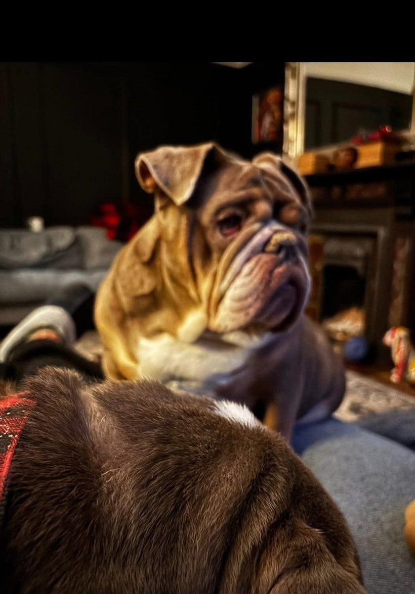 The Edward Foundation tweet media