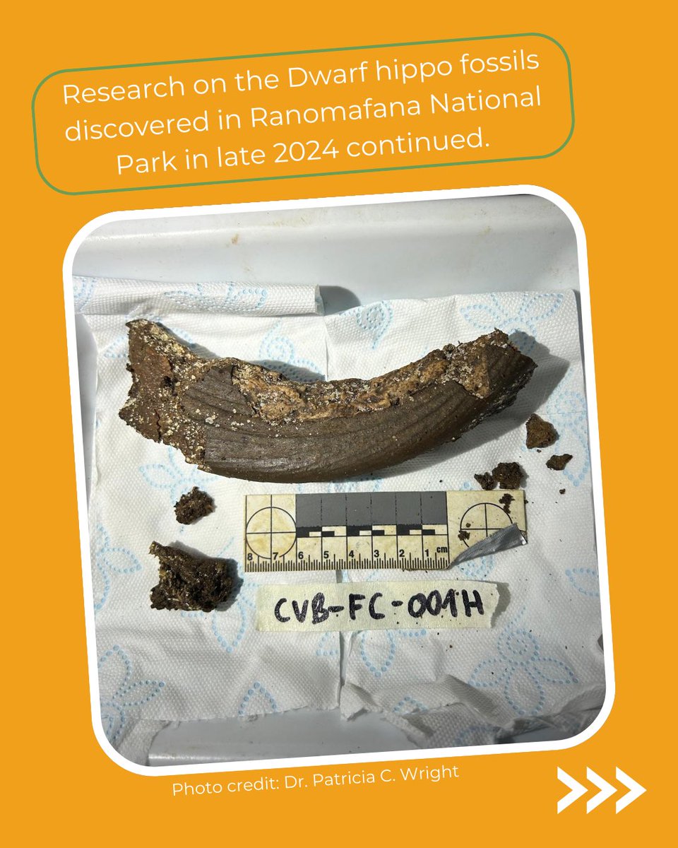 Centre ValBio tweet media