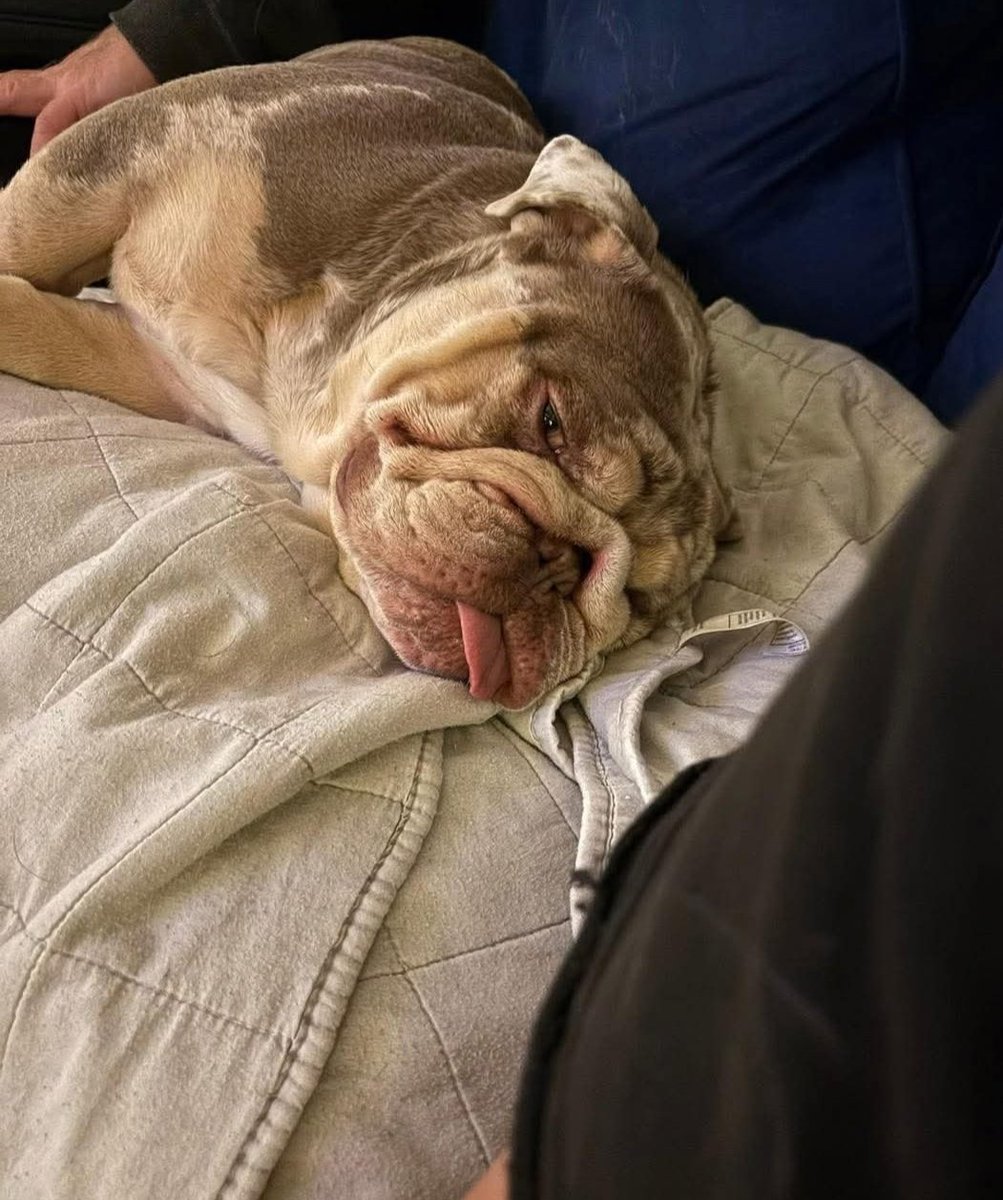 The Edward Foundation tweet media