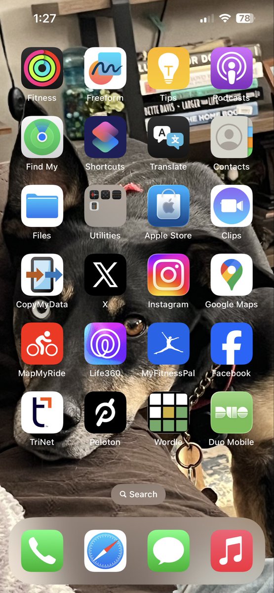 MeltdownRocks tweet media