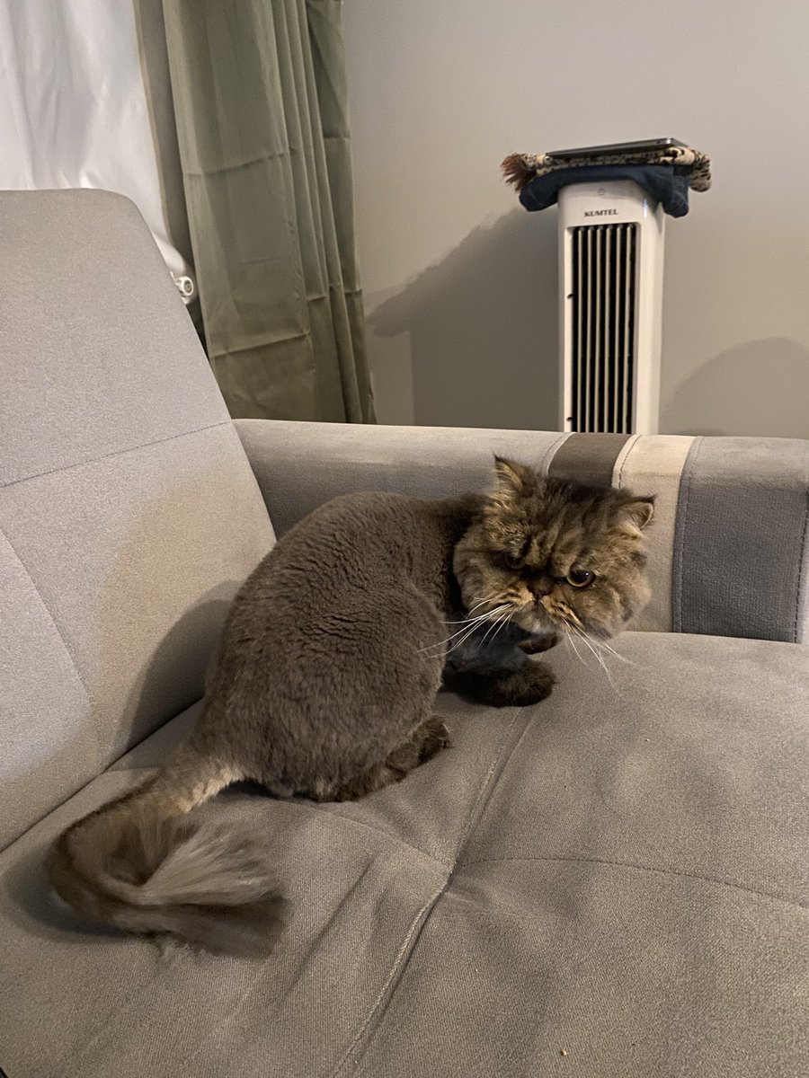 Anlık teröristlerin surat