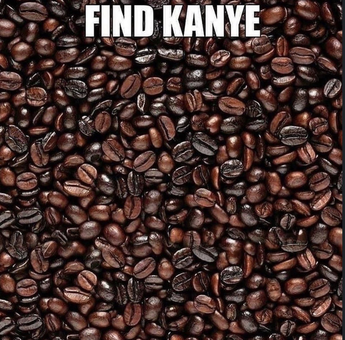 shitpost_2049's tweet image. 