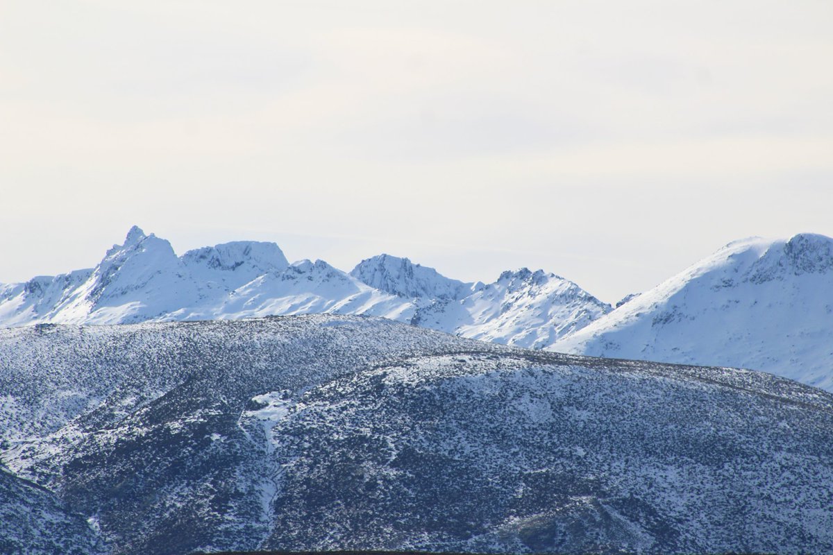 Aníbal Martín tweet media