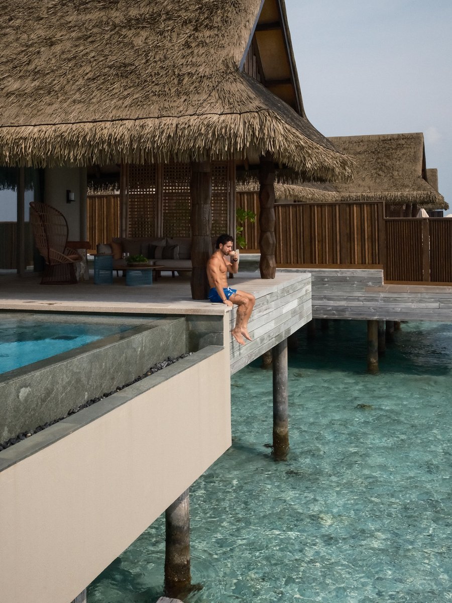 Alex Costa tweet media