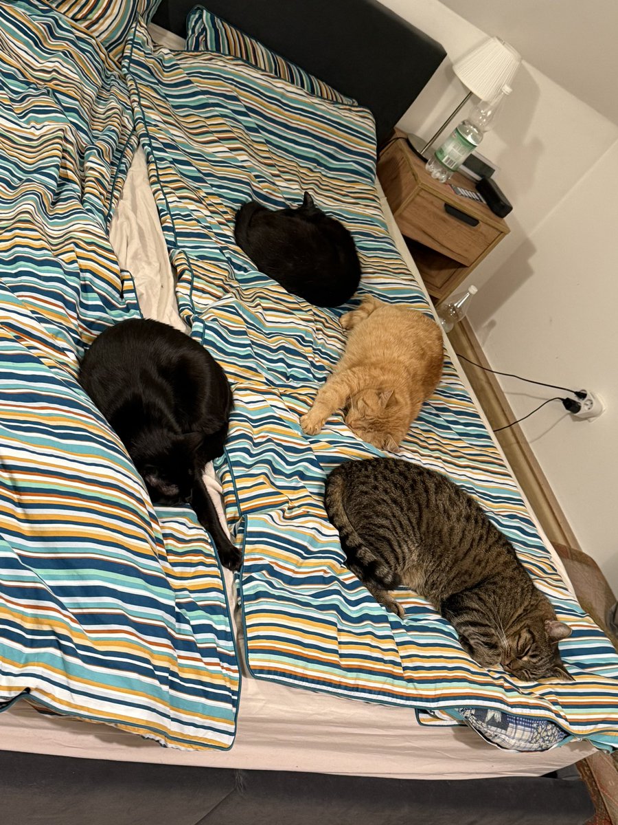 I weź się człowieku połóż