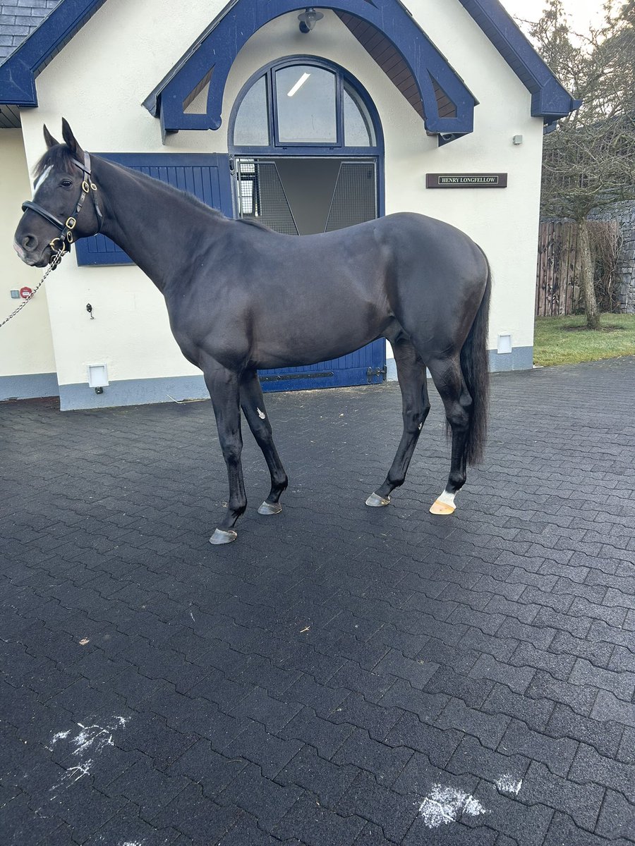 Seán Freney tweet media