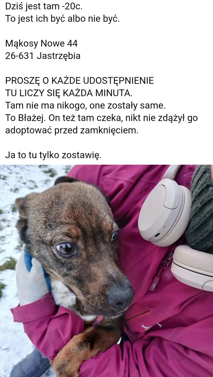 adam_to_ja's tweet image. ⬇️⬇️⬇️