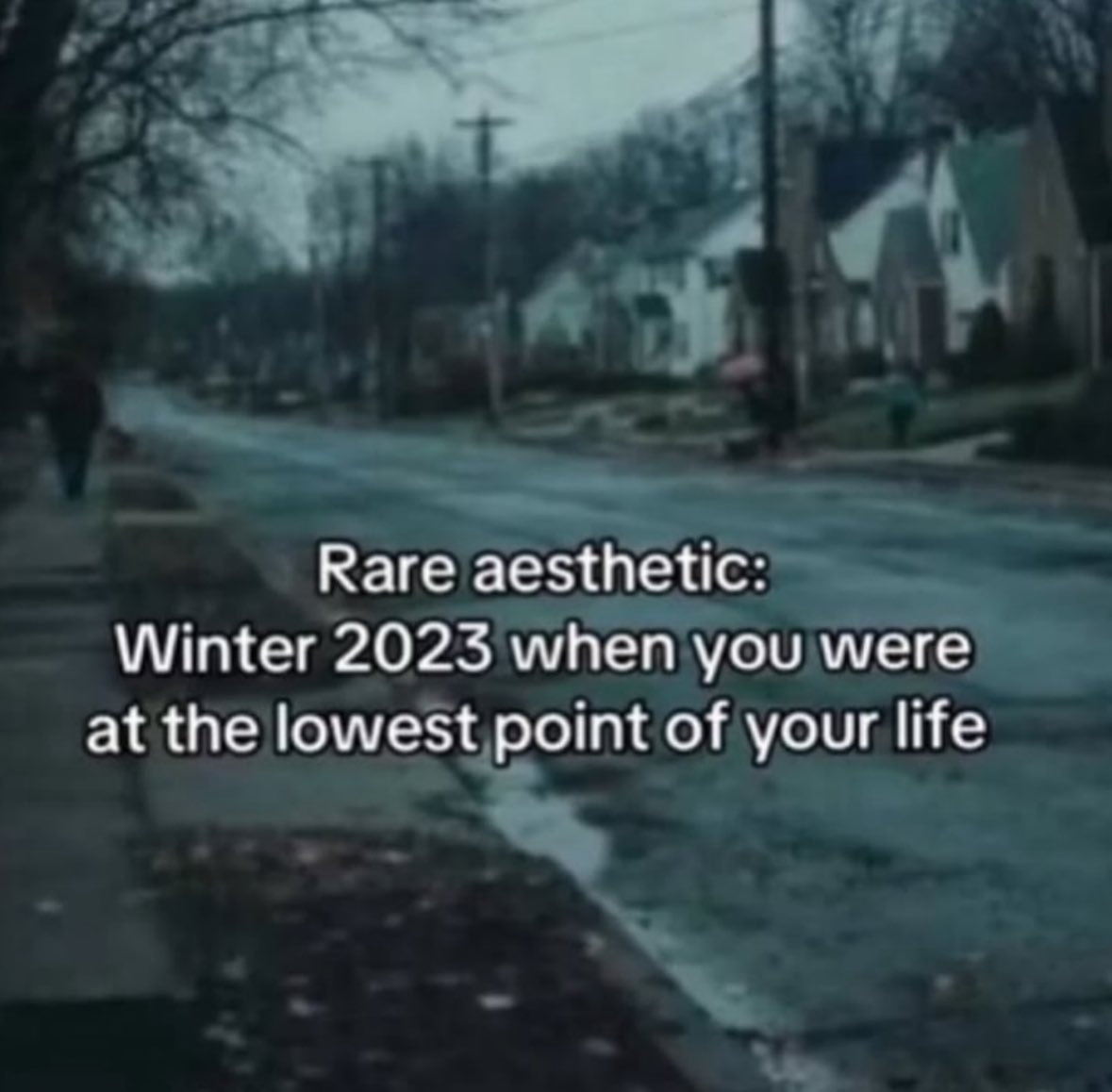 northstardoll's tweet image. 