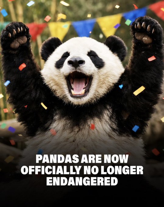 Rainmaker1973's tweet image. Great news! 

Giant pandas are no longer classified as 'endangered'.

After 30 years of slow but steady progress, the IUCN downgraded them to 'vulnerable' on the global list of species at risk of extinction after their population increased by 17% in a decade. 

This shows that…