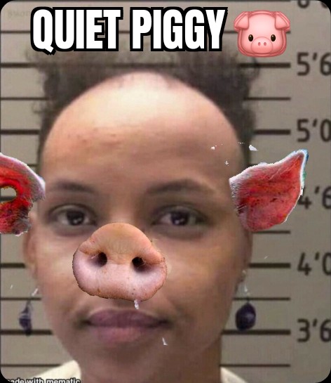 <a href="/IlhanMN/">Ilhan Omar</a> Quiet