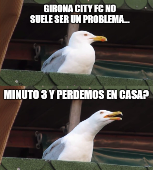 HT_CDBandle's tweet image. 