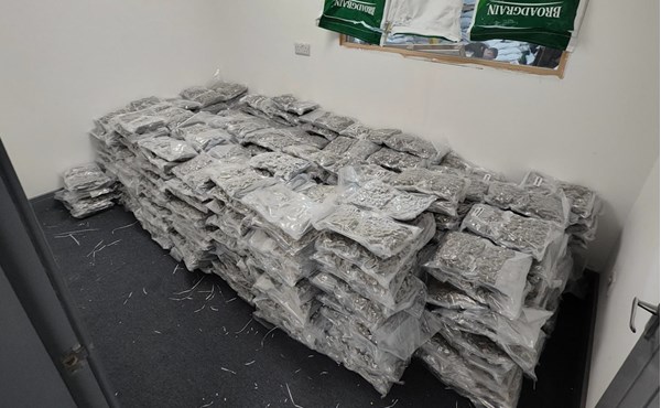 CrimeLdn's tweet image. UK  largest ever cannabis raid was in Bolton on Friday cannabis worth £24 million was sized by GMP 

Two people have been arrested.