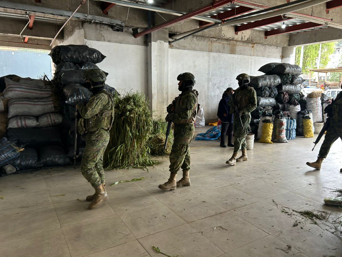 El servicio militar obligatorio resurge en Europa: ¿Es algo positivo? |  Euronews, image size:1200x900