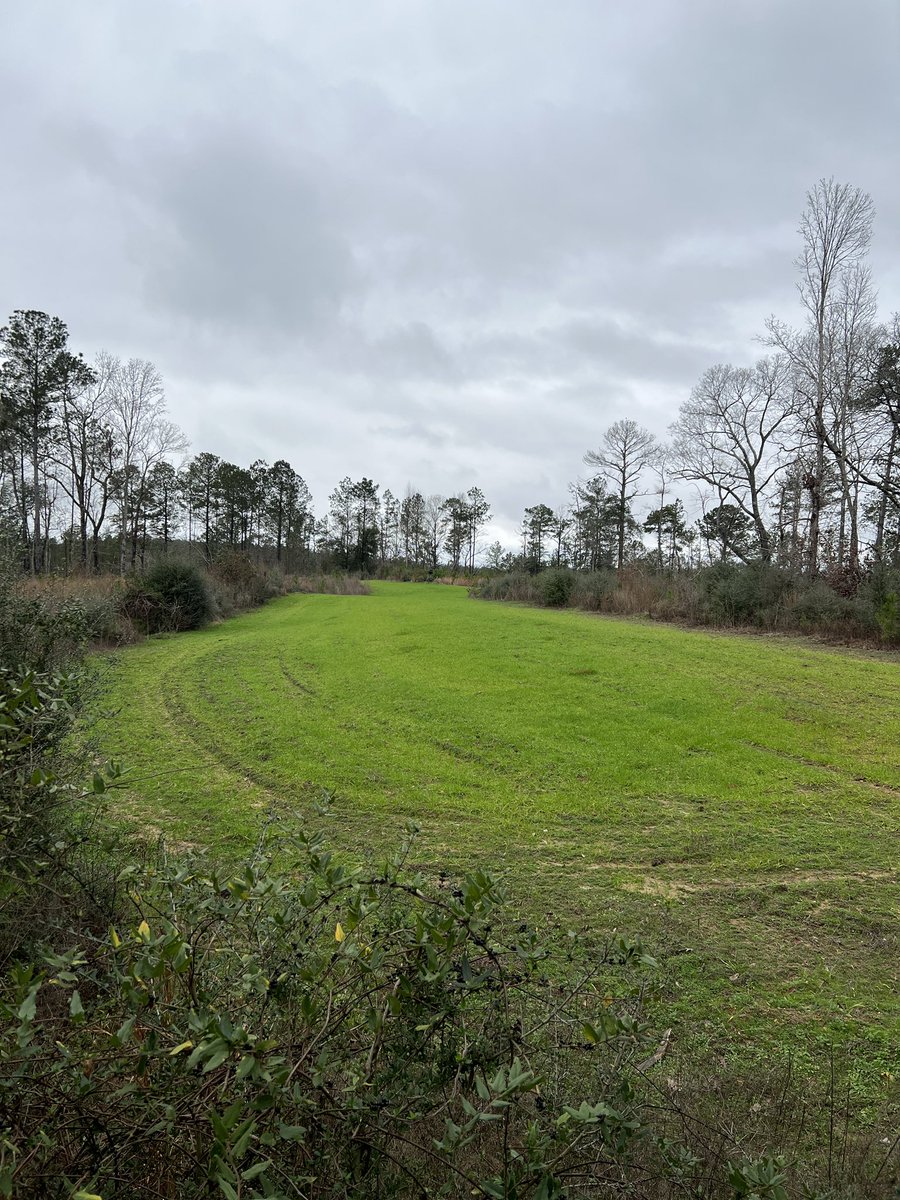 We don’t use X that often and would like to start using it to post our hunting content. Just curious how many hunters are on here?  #deerhunting #realsouthhunting