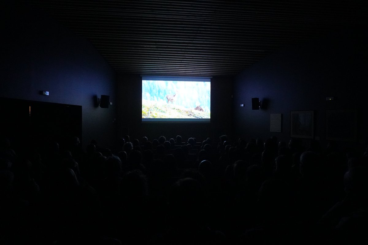 CanTronaCCN's tweet photo. 👏Gran èxit de públic al Docs del Mes ‘Estimada flor’ de l’escriptor Paolo Cognetti!

🗻En aquest cant al Monte Rosa, l'autor obre un debat sobre la crisi climàtica i mostra el sentit que té per a les persones que es troba en la seva travessia, viure a la muntanya. https://t.co/dTejcjjJKi