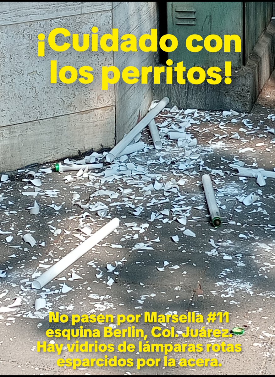La Colonia Juárez tweet media