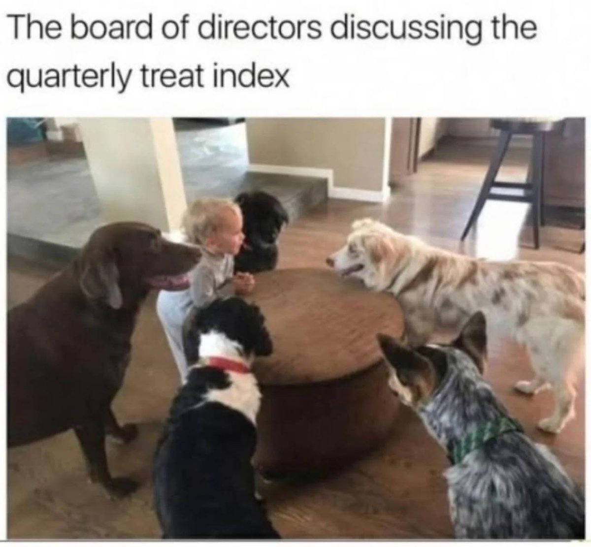 HeckinGoodDogs's tweet image. 