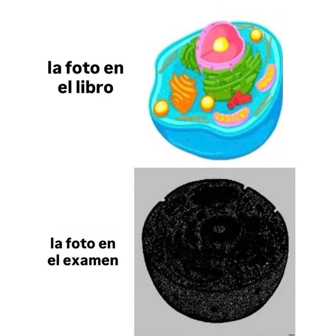 itsD3lay🐧 (@itsd3lay) on Twitter photo 