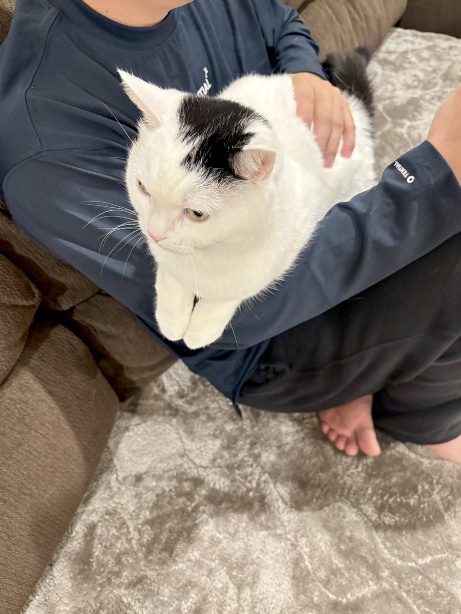 まつもとたける (@takeru0321neko) / Posts / X